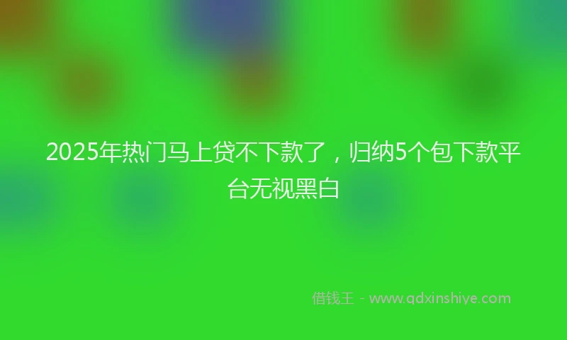 2025年热门马上贷不下款了，归纳5个包下款平台无视黑白