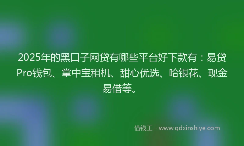 2025年的黑口子网贷有哪些平台好下款有:易贷Pro钱包、掌中宝租机、甜心优选、哈银花、现金易借等。