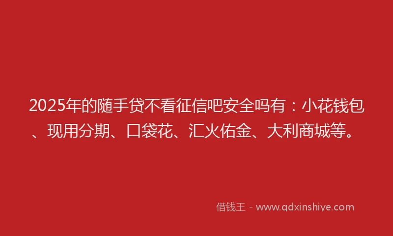 2025年的随手贷不看征信吧安全吗有：小花钱包、现用分期、口袋花、汇火佑金、大利商城等。