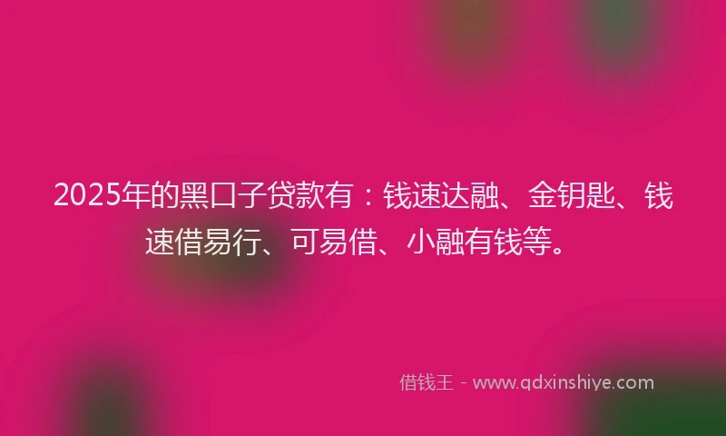2025年的黑口子贷款有：钱速达融、金钥匙、钱速借易行、可易借、小融有钱等。