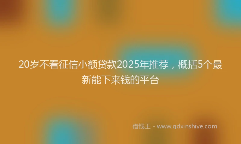 20岁不看征信小额贷款2025年推荐，概括5个最新能下来钱的平台