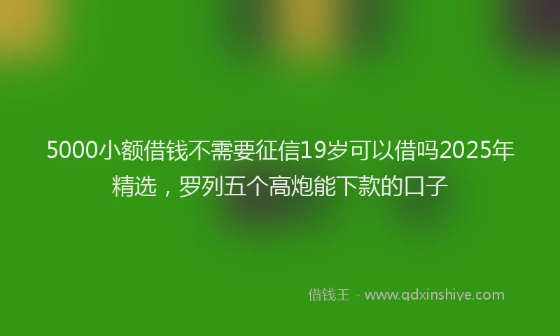 5000小额借钱不需要征信19岁可以借吗2025年精选，罗列五个高炮能下款的口子
