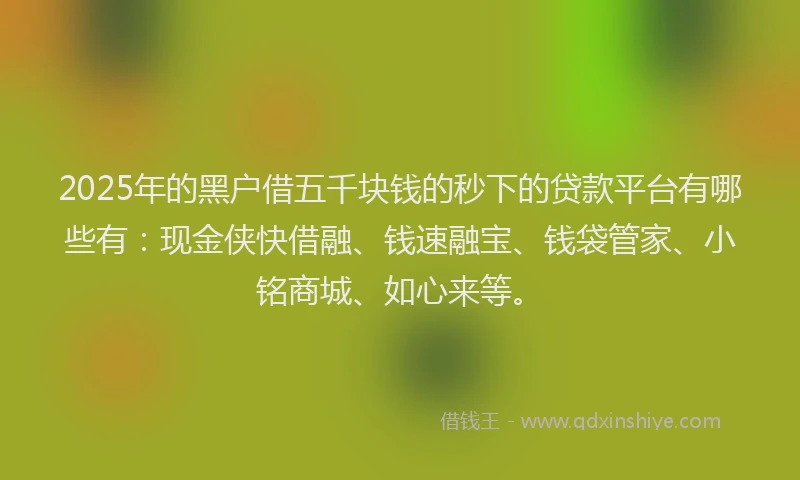 2025年的黑户借五千块钱的秒下的贷款平台有哪些有：现金侠快借融、钱速融宝、钱袋管家、小铭商城、如心来等。