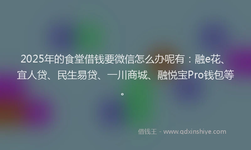 2025年的食堂借钱要微信怎么办呢有：融e花、宜人贷、民生易贷、一川商城、融悦宝Pro钱包等。