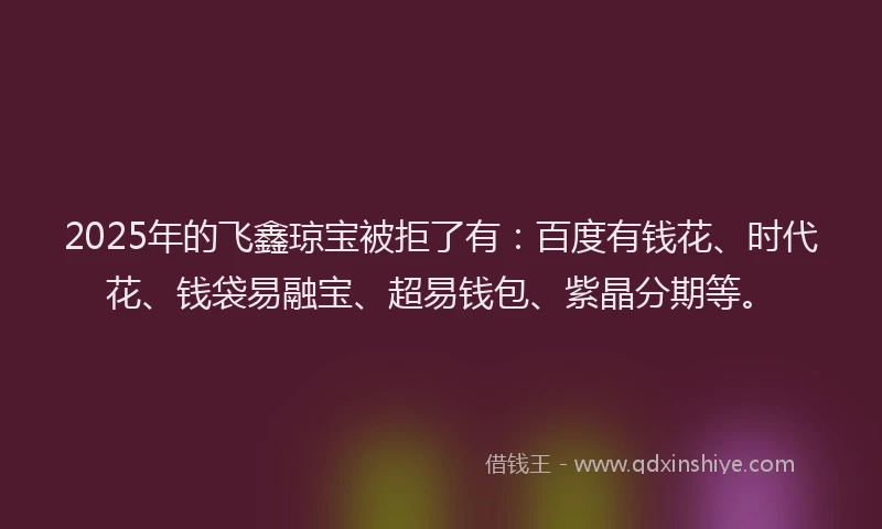 2025年的飞鑫琼宝被拒了有：百度有钱花、时代花、钱袋易融宝、超易钱包、紫晶分期等。