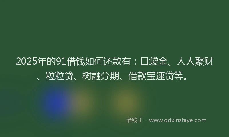 2025年的91借钱如何还款有：口袋金、人人聚财、粒粒贷、树融分期、借款宝速贷等。