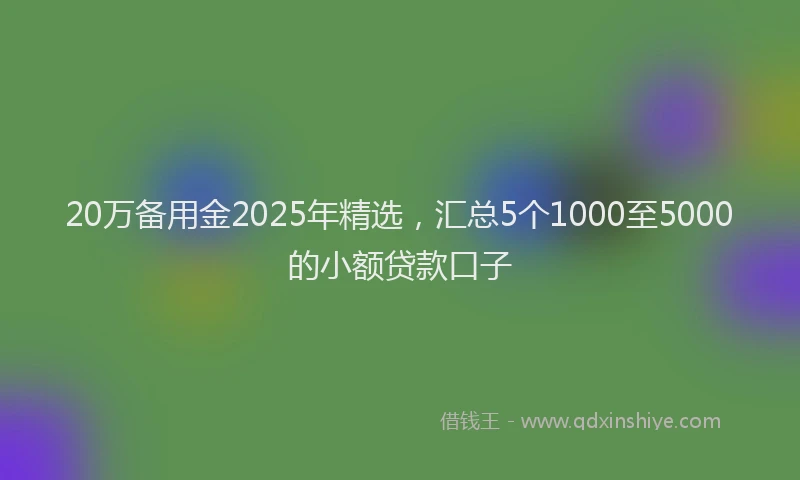20万备用金2025年精选，汇总5个1000至5000的小额贷款口子