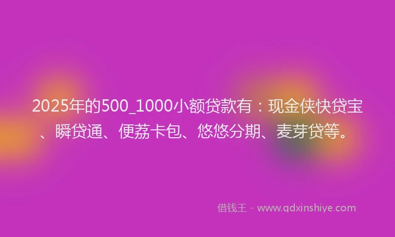 2025年的500_1000小额贷款有：现金侠快贷宝、瞬贷通、便荔卡包、悠悠分期、麦芽贷等。