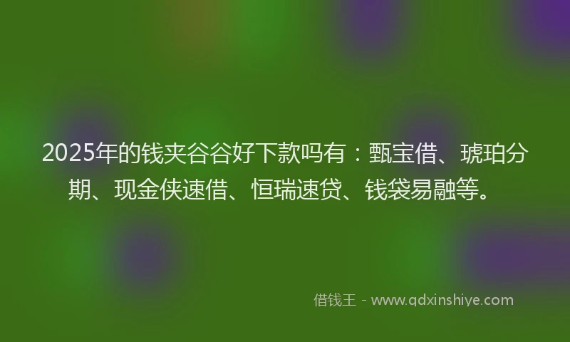 2025年的钱夹谷谷好下款吗有：甄宝借、琥珀分期、现金侠速借、恒瑞速贷、钱袋易融等。