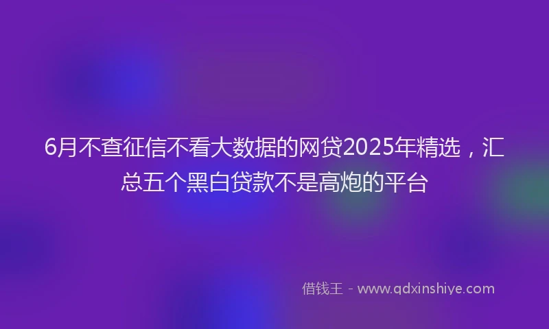 6月不查征信不看大数据的网贷2025年精选，汇总五个黑白贷款不是高炮的平台