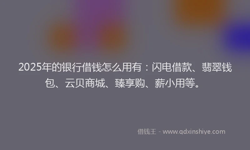 2025年的银行借钱怎么用有：闪电借款、翡翠钱包、云贝商城、臻享购、薪小用等。