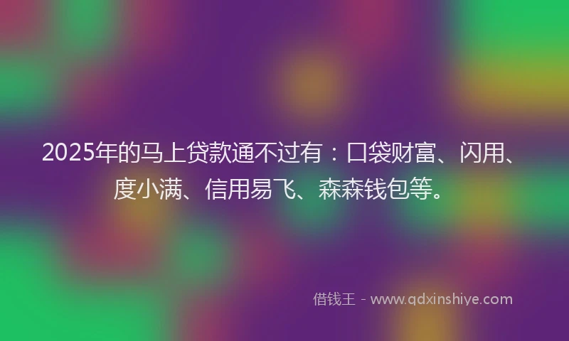 2025年的马上贷款通不过有：口袋财富、闪用、度小满、信用易飞、森森钱包等。