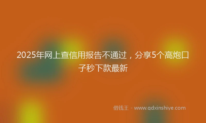 2025年网上查信用报告不通过，分享5个高炮口子秒下款最新