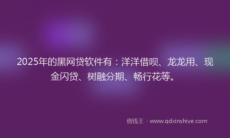 2025年的黑网贷软件有：洋洋借呗、龙龙用、现金闪贷、树融分期、畅行花等。