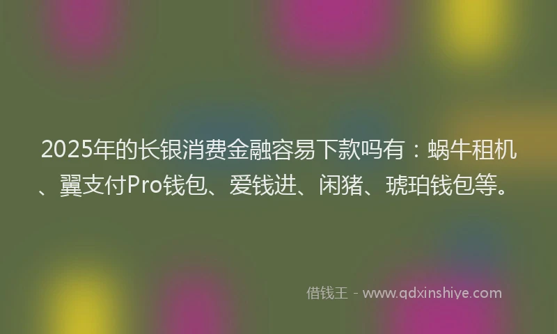 2025年的长银消费金融容易下款吗有：蜗牛租机、翼支付Pro钱包、爱钱进、闲猪、琥珀钱包等。
