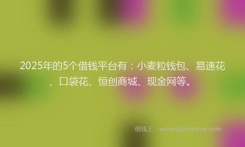 2025年的5个借钱平台有：小麦粒钱包、易速花、口袋花、恒创商城、现金网等。