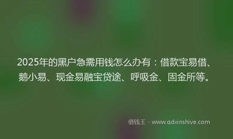 2025年的黑户急需用钱怎么办有：借款宝易借、鹅小易、现金易融宝贷途、呼吸金、固金所等。