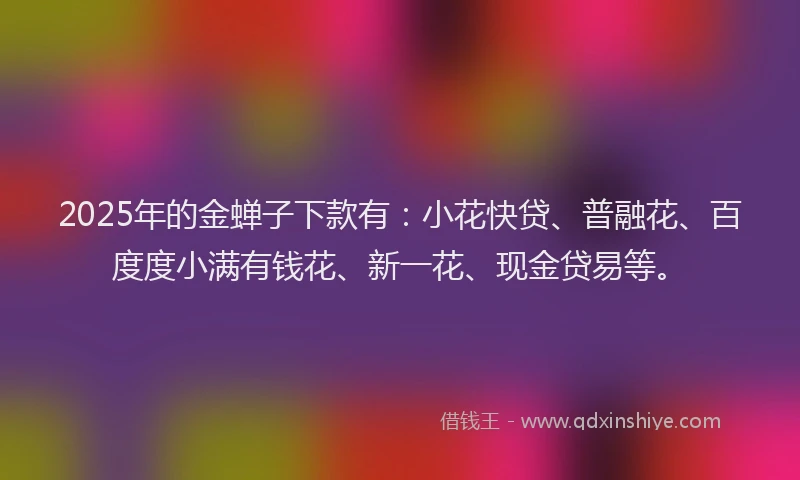2025年的金蝉子下款有：小花快贷、普融花、百度度小满有钱花、新一花、现金贷易等。