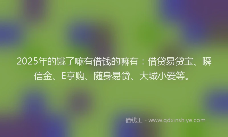 2025年的饿了嘛有借钱的嘛有：借贷易贷宝、瞬信金、E享购、随身易贷、大城小爱等。