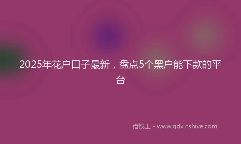 2025年花户口子最新，盘点5个黑户能下款的平台