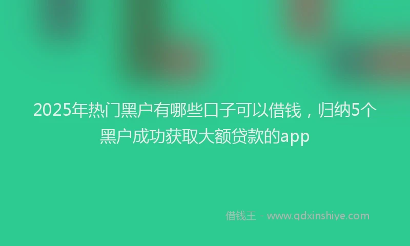 2025年热门黑户有哪些口子可以借钱，归纳5个黑户成功获取大额贷款的app