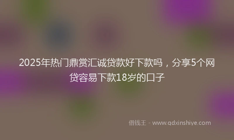 2025年热门鼎赏汇诚贷款好下款吗，分享5个网贷容易下款18岁的口子
