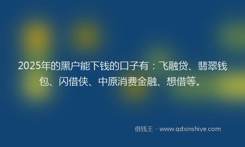 2025年的黑户能下钱的口子有：飞融贷、翡翠钱包、闪借侠、中原消费金融、想借等。