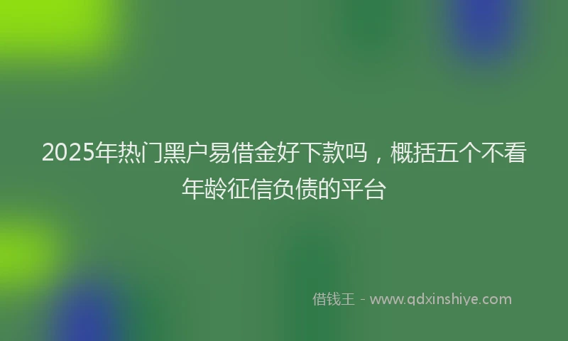 2025年热门黑户易借金好下款吗，概括五个不看年龄征信负债的平台