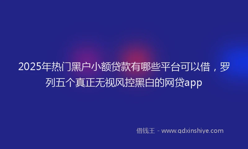 2025年热门黑户小额贷款有哪些平台可以借，罗列五个真正无视风控黑白的网贷app