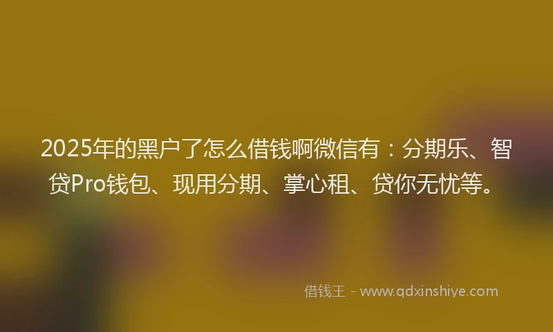 2025年的黑户了怎么借钱啊微信有：分期乐、智贷Pro钱包、现用分期、掌心租、贷你无忧等。