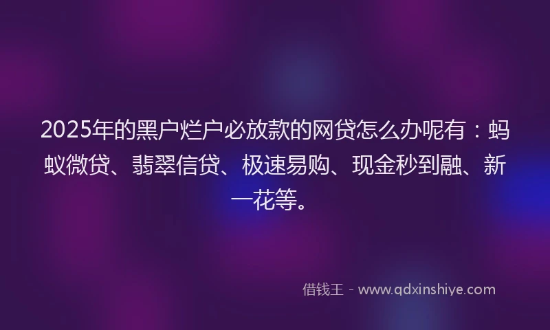 2025年的黑户烂户必放款的网贷怎么办呢有：蚂蚁微贷、翡翠信贷、极速易购、现金秒到融、新一花等。