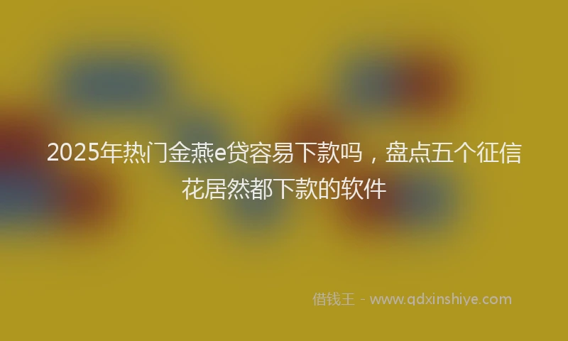2025年热门金燕e贷容易下款吗，盘点五个征信花居然都下款的软件