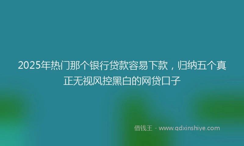 2025年热门那个银行贷款容易下款，归纳五个真正无视风控黑白的网贷口子