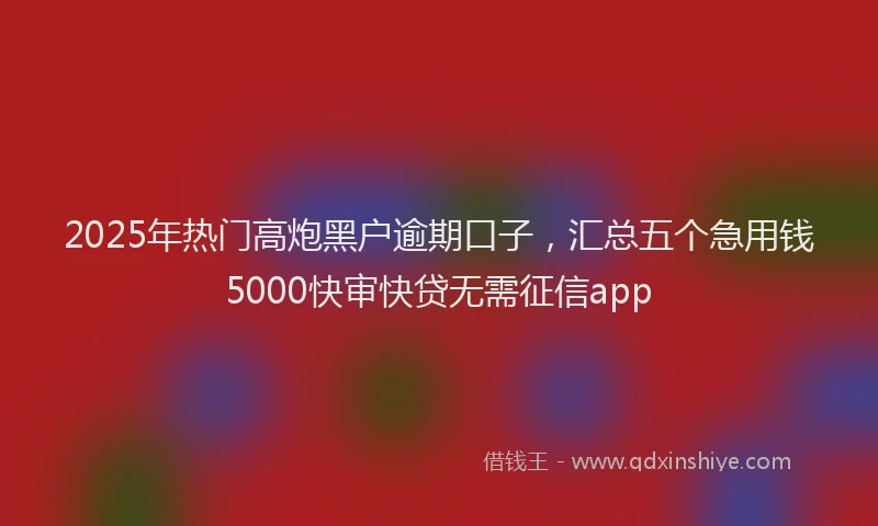 2025年热门高炮黑户逾期口子，汇总五个急用钱5000快审快贷无需征信app