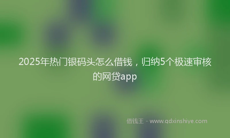 2025年热门银码头怎么借钱，归纳5个极速审核的网贷app