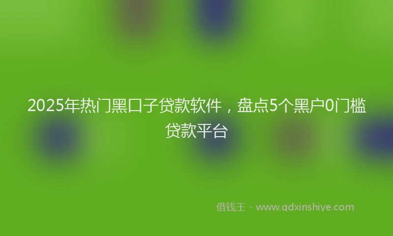 2025年热门黑口子贷款软件，盘点5个黑户0门槛贷款平台