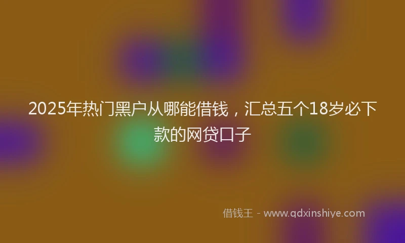 2025年热门黑户从哪能借钱，汇总五个18岁必下款的网贷口子
