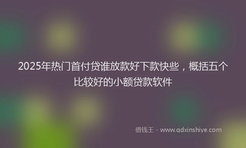 2025年热门首付贷谁放款好下款快些，概括五个比较好的小额贷款软件