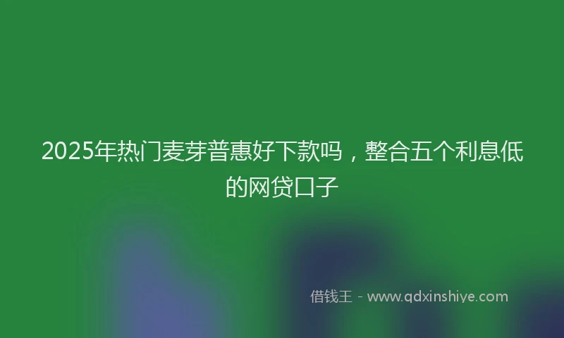 2025年热门麦芽普惠好下款吗，整合五个利息低的网贷口子