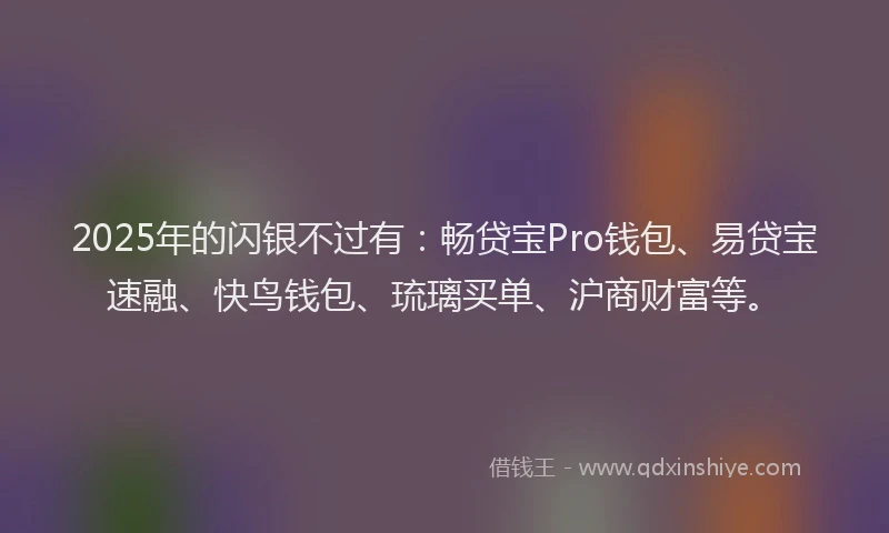 2025年的闪银不过有：畅贷宝Pro钱包、易贷宝速融、快鸟钱包、琉璃买单、沪商财富等。