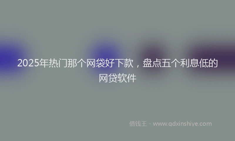 2025年热门那个网袋好下款，盘点五个利息低的网贷软件