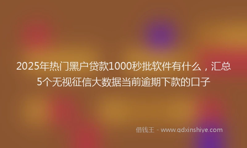 2025年热门黑户贷款1000秒批软件有什么，汇总5个无视征信大数据当前逾期下款的口子