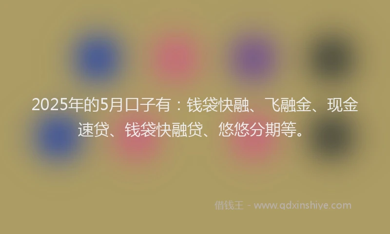 2025年的5月口子有：钱袋快融、飞融金、现金速贷、钱袋快融贷、悠悠分期等。