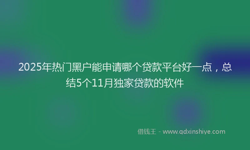 2025年热门黑户能申请哪个贷款平台好一点，总结5个11月独家贷款的软件