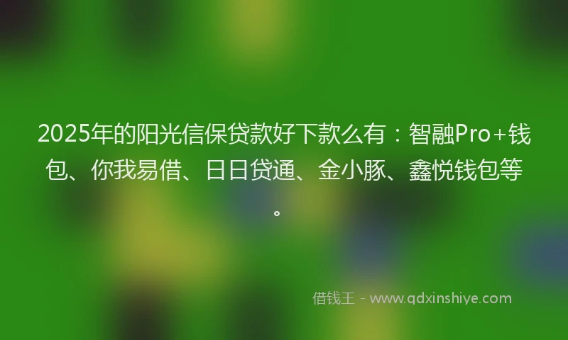 2025年的阳光信保贷款好下款么有:智融Pro+钱包、你我易借、日日贷通、金小豚、鑫悦钱包等。