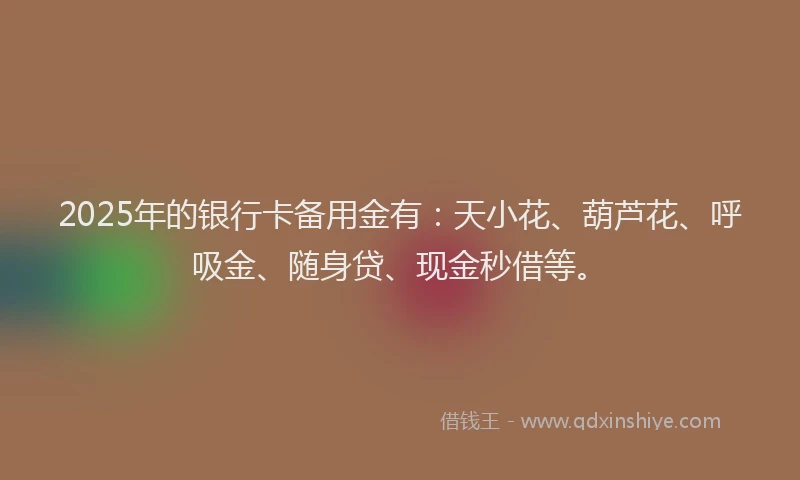 2025年的银行卡备用金有：天小花、葫芦花、呼吸金、随身贷、现金秒借等。