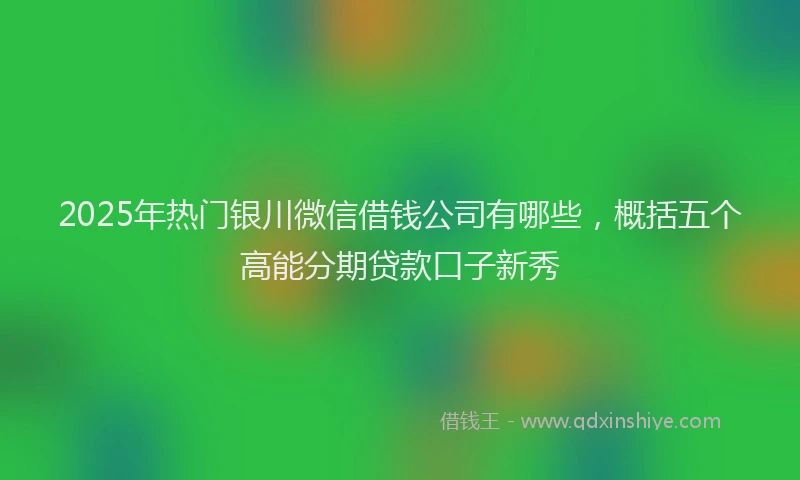 2025年热门银川微信借钱公司有哪些，概括五个高能分期贷款口子新秀