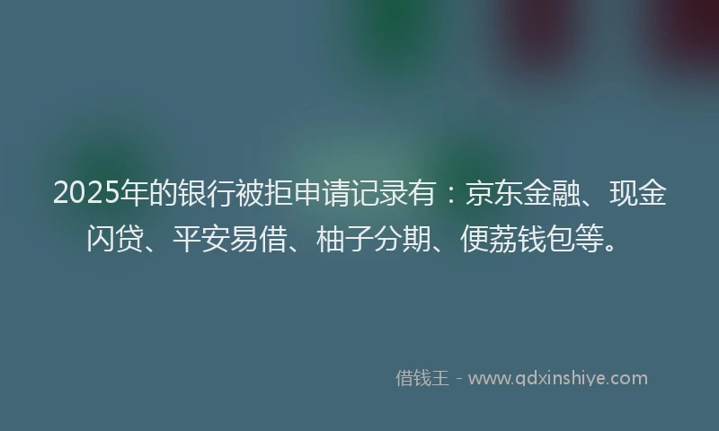 2025年的银行被拒申请记录有：京东金融、现金闪贷、平安易借、柚子分期、便荔钱包等。