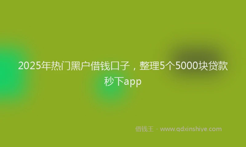 2025年热门黑户借钱口子，整理5个5000块贷款秒下app