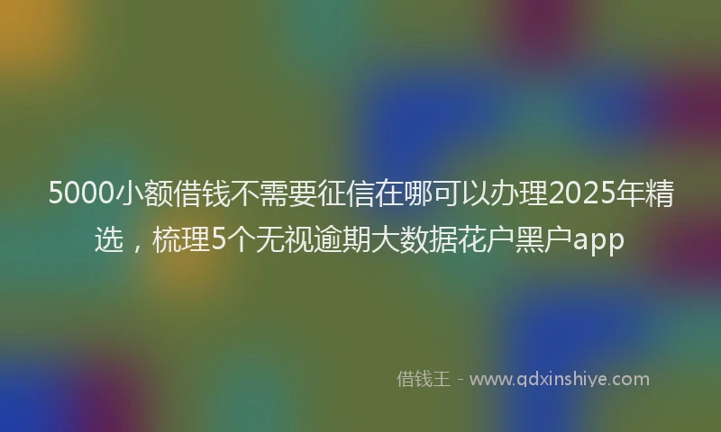5000小额借钱不需要征信在哪可以办理2025年精选，梳理5个无视逾期大数据花户黑户app